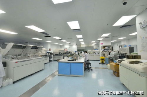 合肥工廠無塵車間的發(fā)展趨勢(shì)和前景